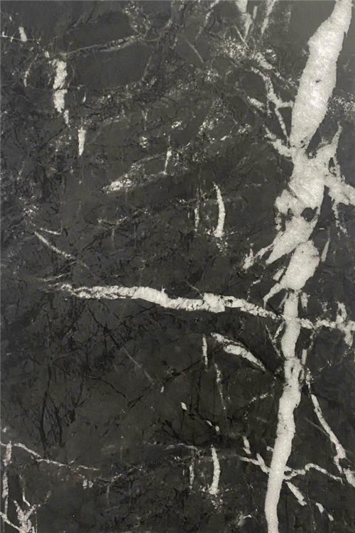 GN-005 — Black Forest