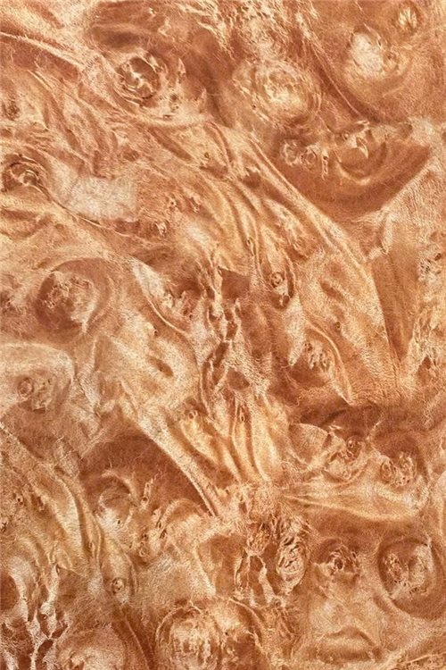 WD-001 — Amber Burl