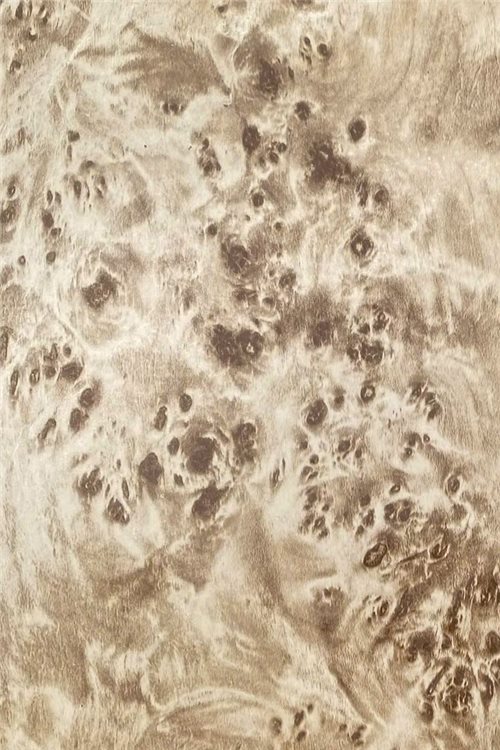 WD-008 — Champagne Burl
